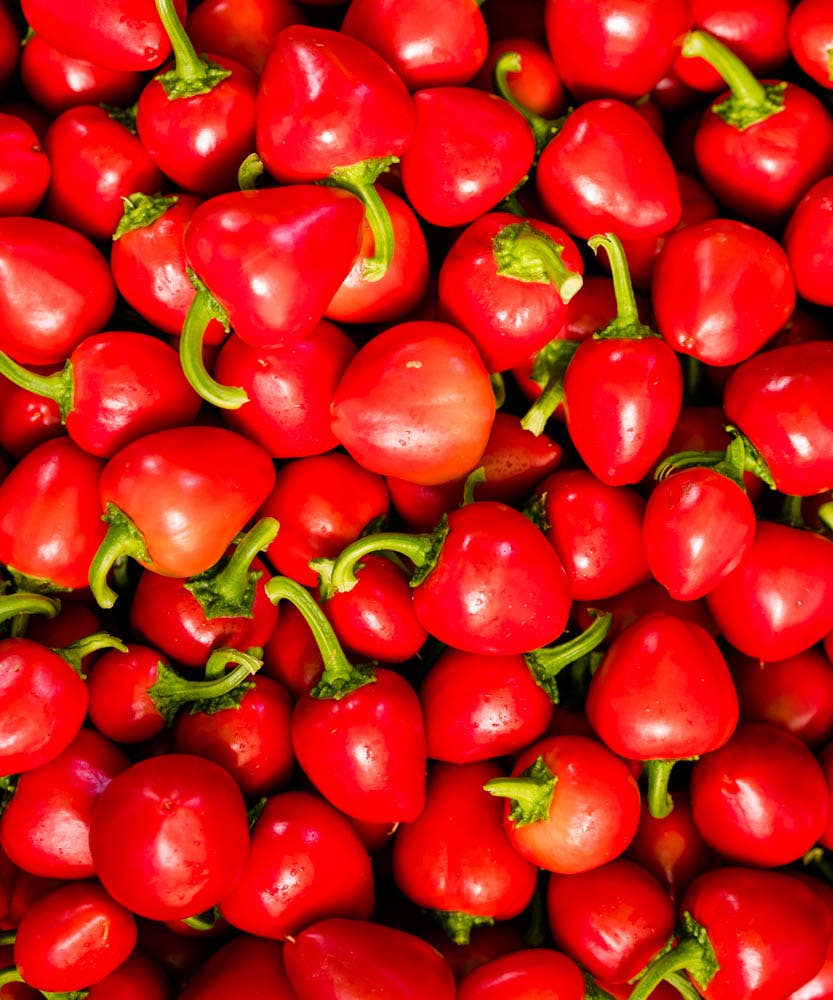 Marshall's Haute Sauce Cherry Bomb Pepper Hot Sauce