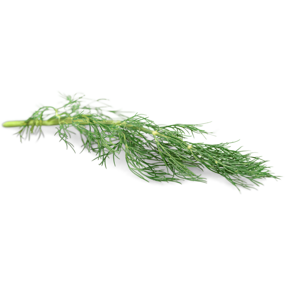 Dill Hot Sauces