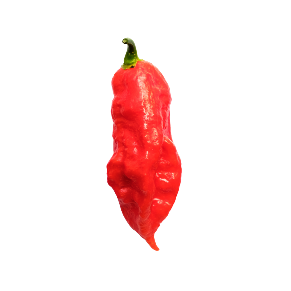 Ghost Pepper Hot Sauces