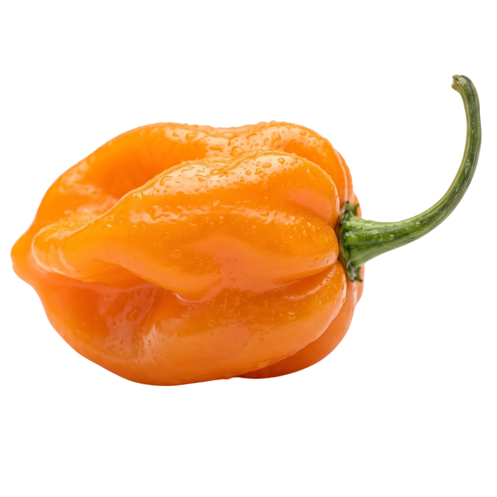 Habanero Hot Sauces