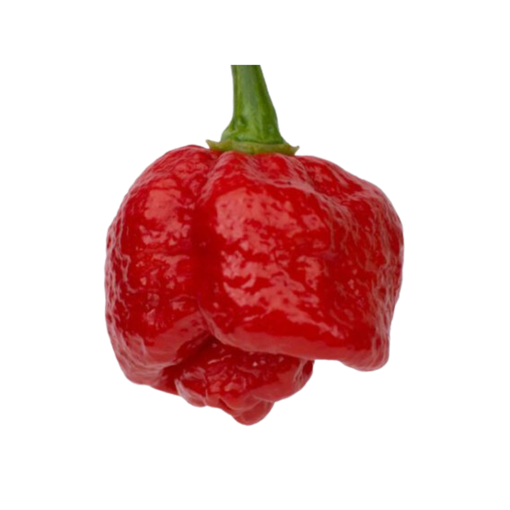 Scorpion Pepper Hot Sauces