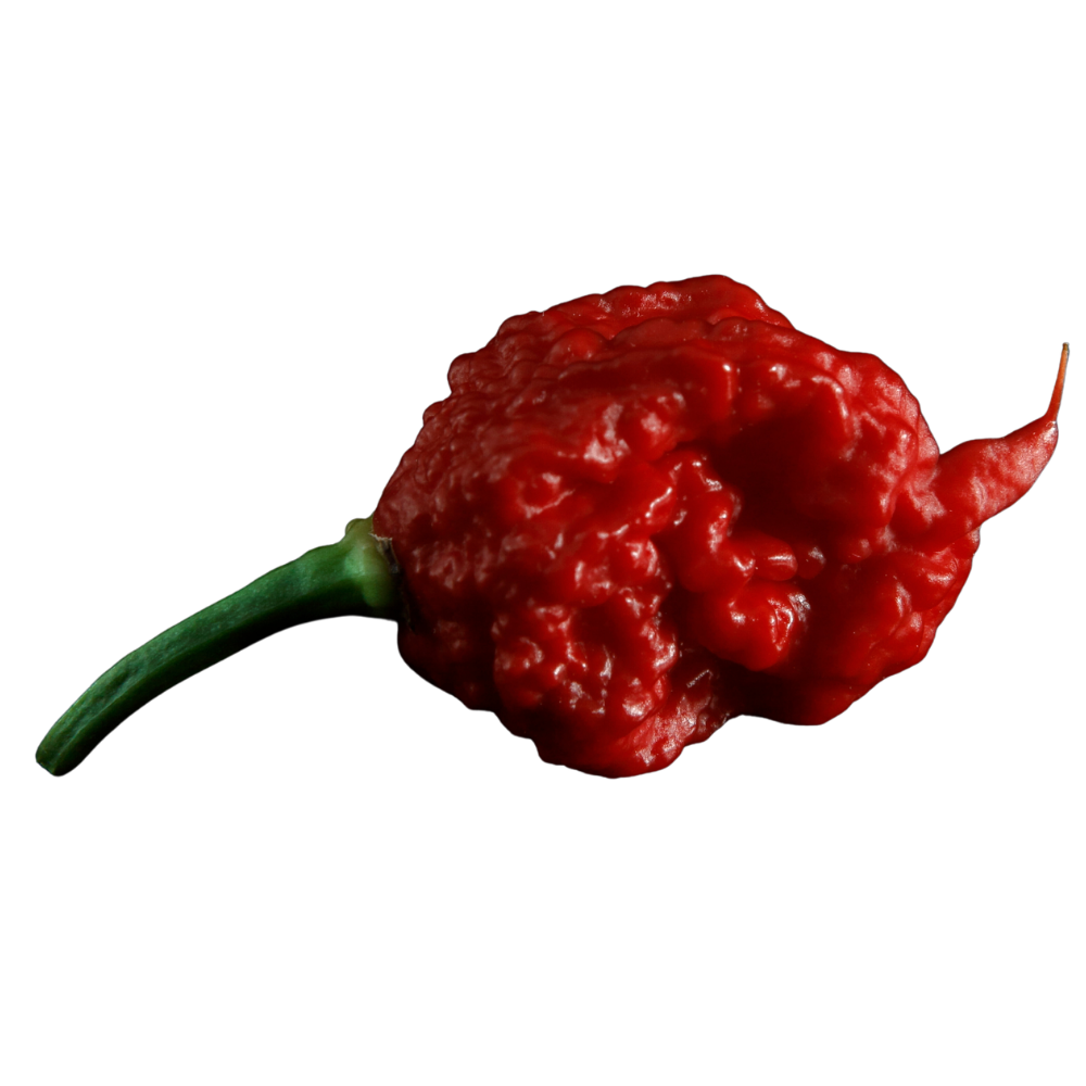 Carolina Reaper Hot Sauces
